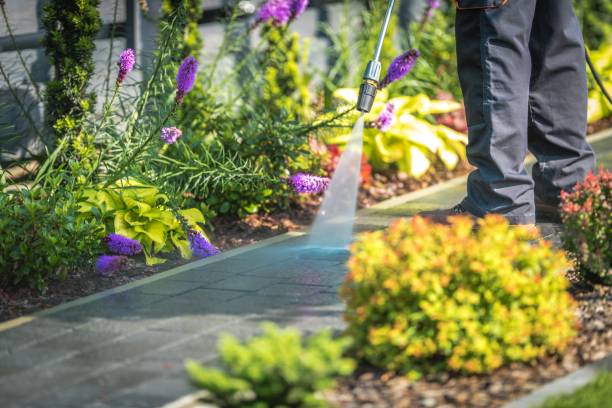 Best Post-Construction Pressure Washing  in Walsenburg, CO