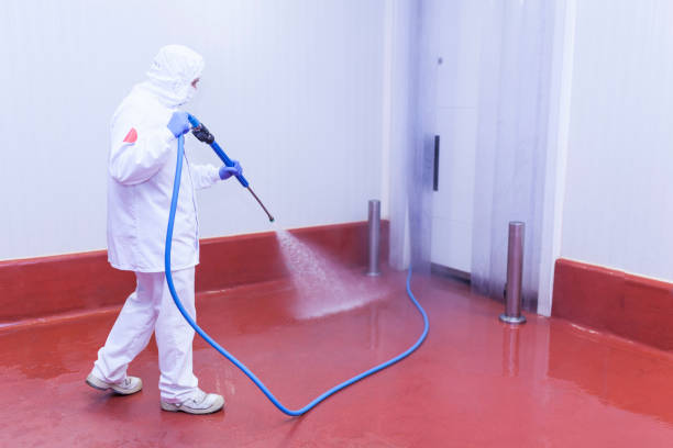 Best Rust Removal  in Walsenburg, CO