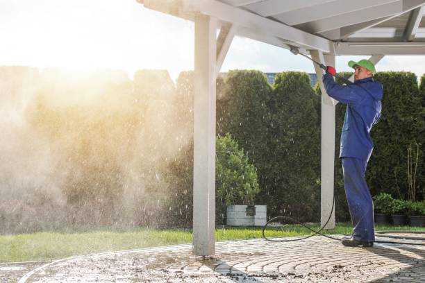 Best Animal Enclosure Cleaning  in Walsenburg, CO