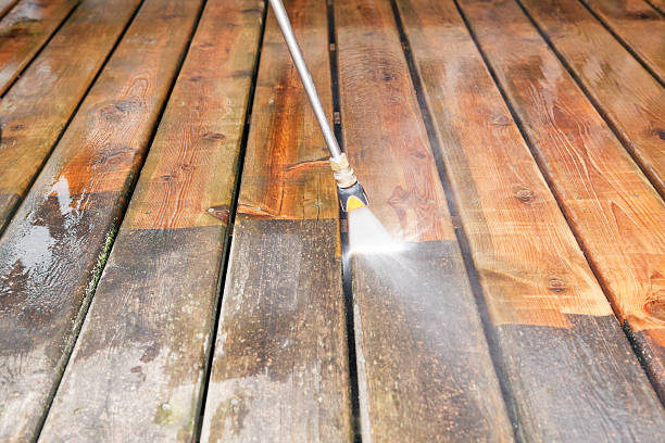 Best Sidewalk and Walkway Cleaning  in Walsenburg, CO